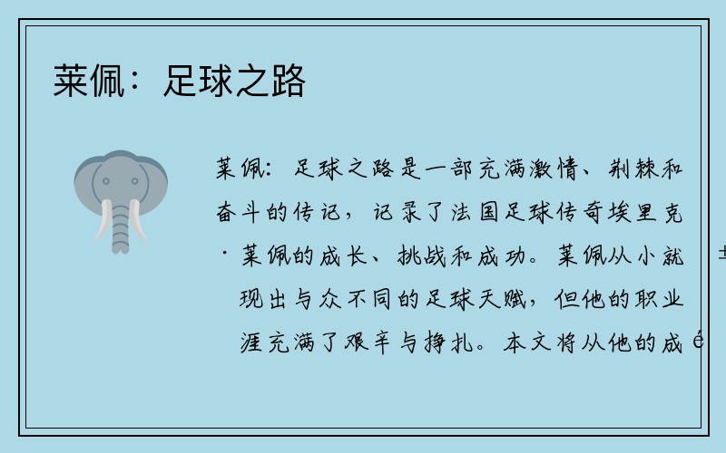 莱佩：足球之路