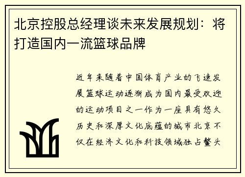 北京控股总经理谈未来发展规划：将打造国内一流篮球品牌